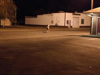 Yellowstone Motel Greybull Εξωτερικό φωτογραφία